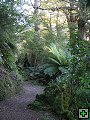 thn_Ruahine - Sunrise Hut 004.jpg